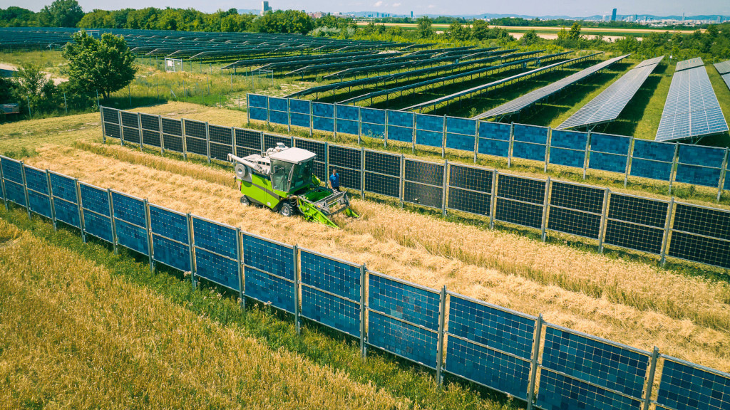 agri-pv-yield-results-show-advantages-of-dual-use-of-pv-in-agriculture