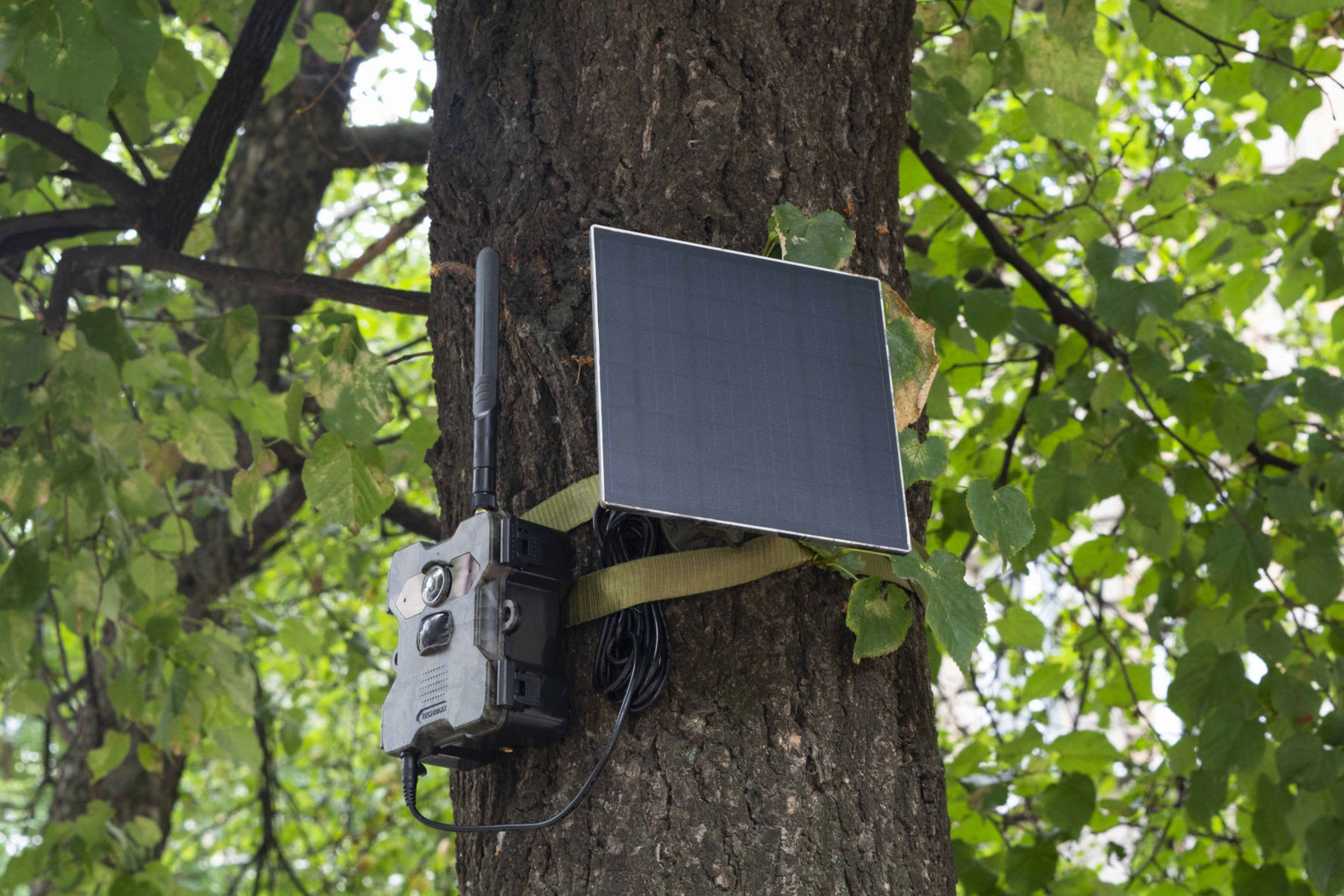 off-grid-appliance-a-solar-powered-wildlife-and-security-camera