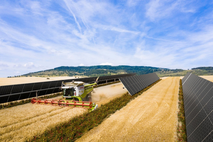The Alhendín solar park combines renewable energy, agriculture and biodiversity. - © BayWa r.e.
  The Alhendín solar park combines renewable energy, agriculture and biodiversity.