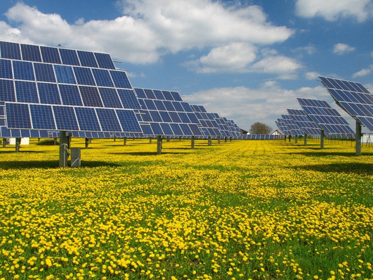 © Czech Solar Association PV trackers in Czech – now the government wants to cut the funding retroactively.