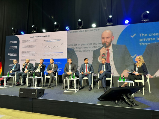 © European-Ukrainian Energy Agency Panelists at the ReBuild Ukraine conference in Warsaw.