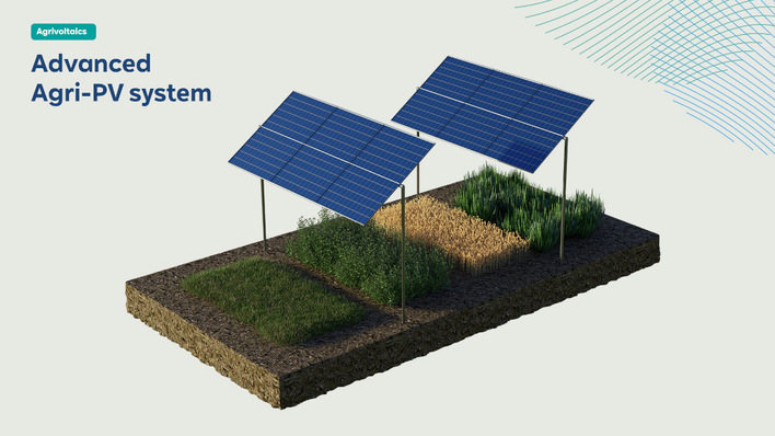 © RWE RWE will realise both projects using elevated tracker structures.