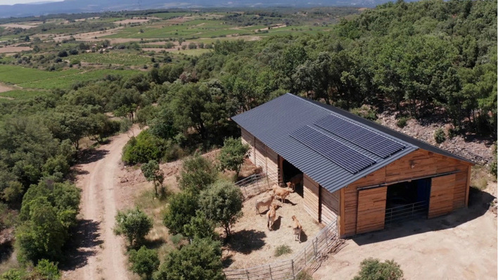 © Tesvolt The cattle shed roof had room for more solar modules, but there was nowhere to put the extra power.