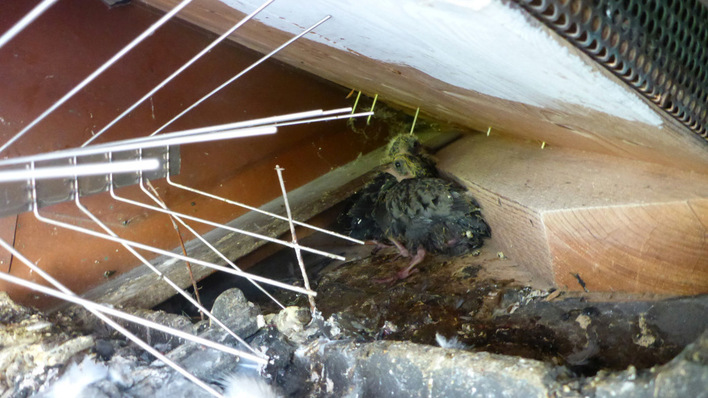 © Mattstedt A right mess - not what you imagined at the beginning of your solar journey.