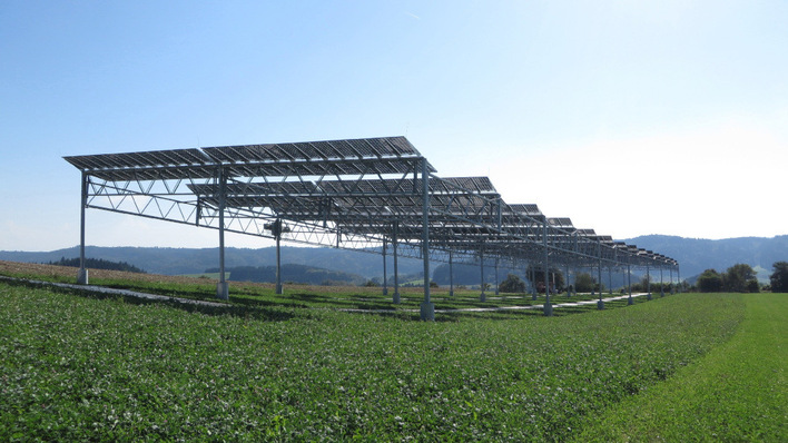 © Fraunhofer ISE Shade on top, crops below – agrivoltaics in action