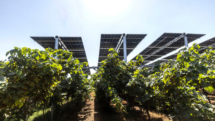 © Solargik/Nimrod Levy With Solargik’s new assistant, operators now receive clear recommendations. The crops underneath manage themselves.